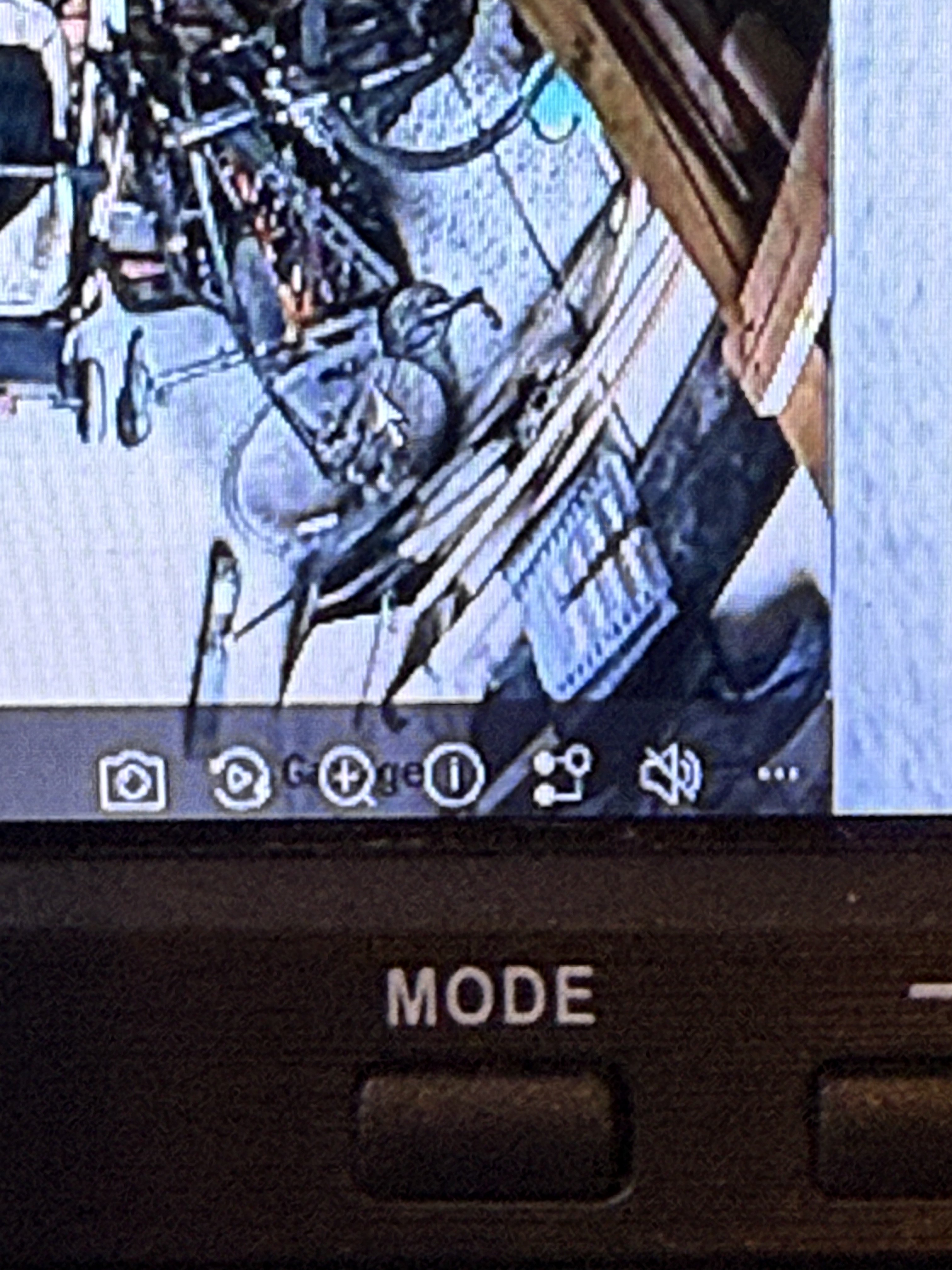 IMG_6097.jpeg