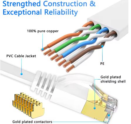 cat6.JPG